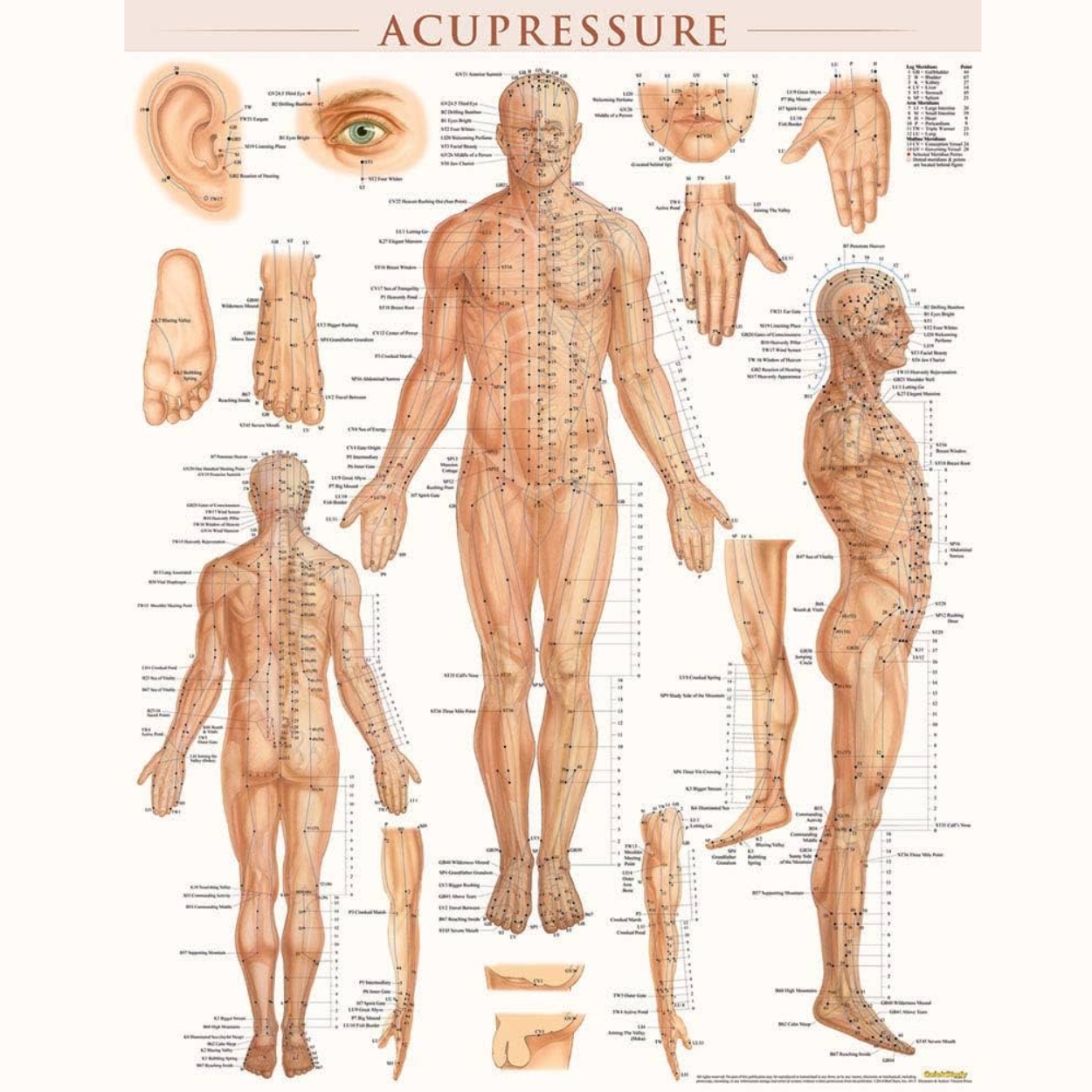 Book & Charts